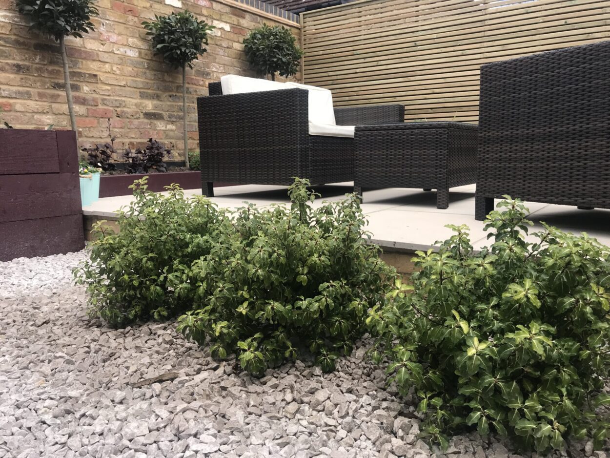 The Garden Lounge