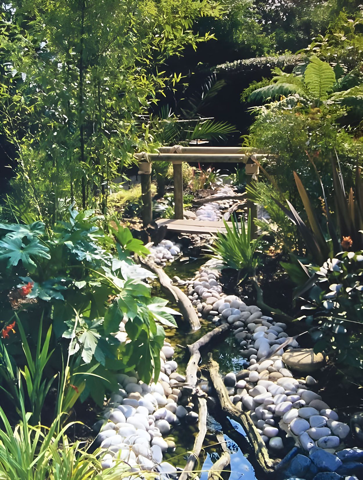 Sub tropical garden